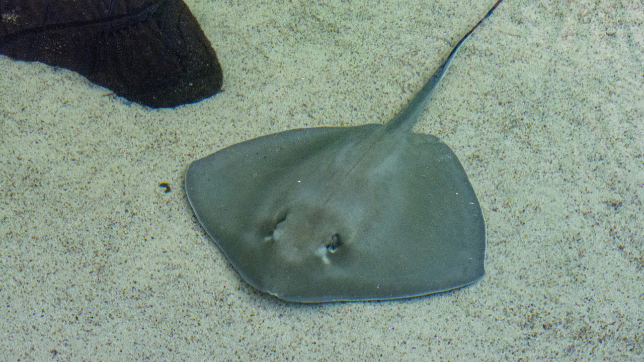 20160217-112808••Fort Walton Beach•Florida•USA